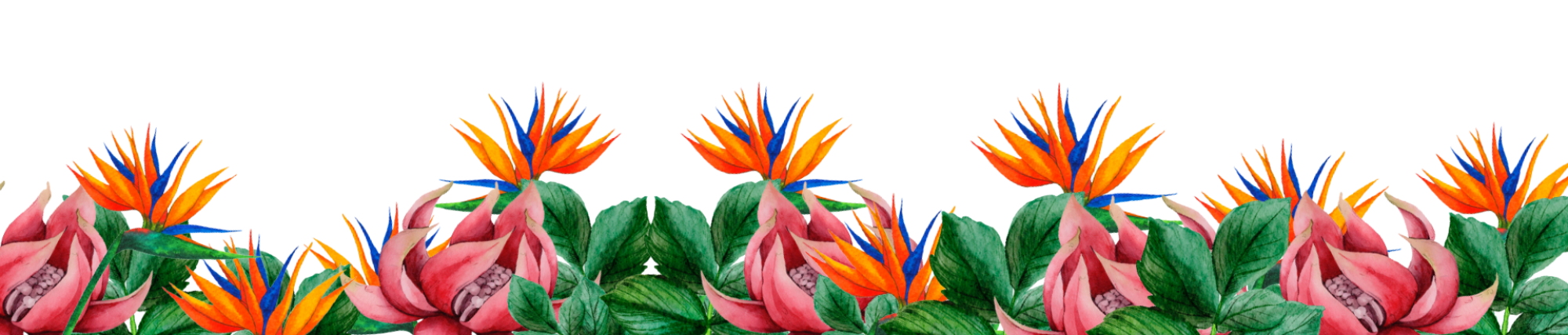 Kioki Tropical Leaves