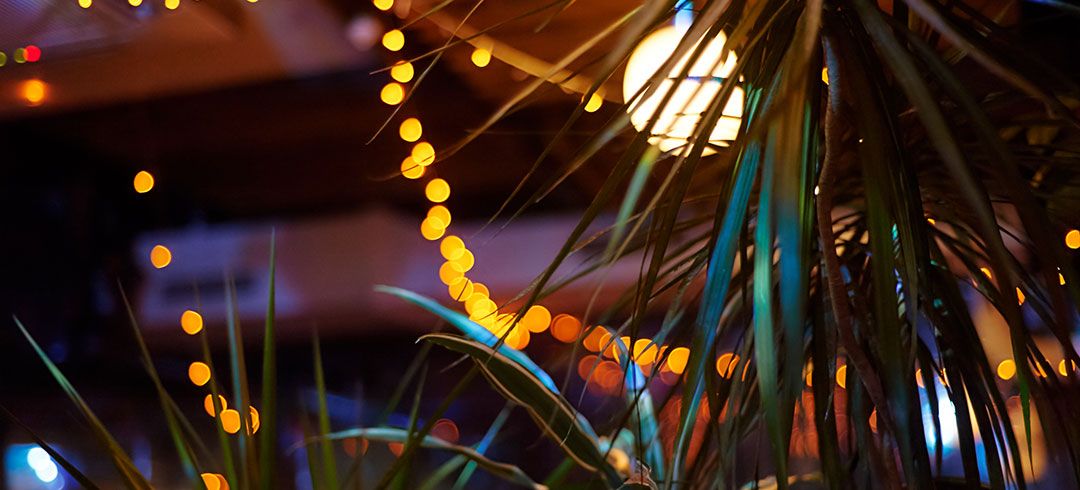 Tiki Bar Settings with Palm Tree